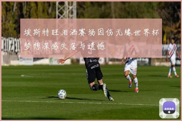 埃斯特旺泪洒赛场因伤无缘世界杯梦想深感失落与遗憾